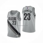 Camiseta Portland Trail Blazers Robert Covington NO 23 Earned 2020-21 Gris